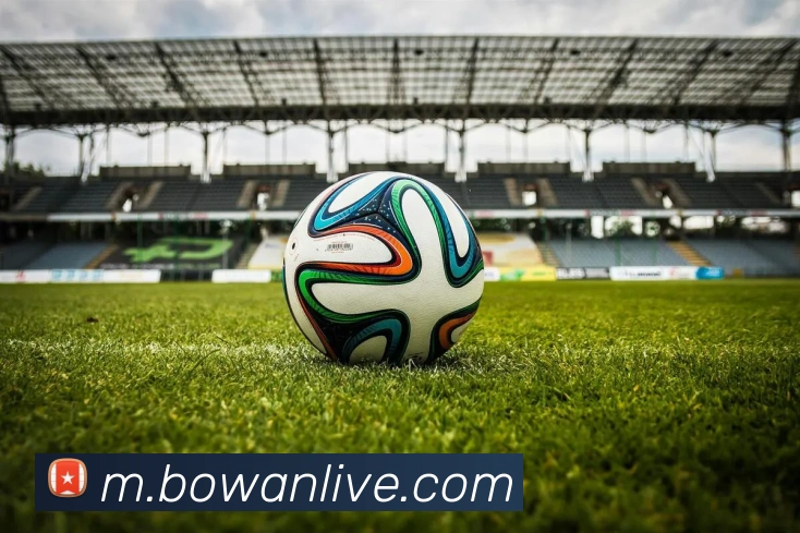 博万体育服务体系